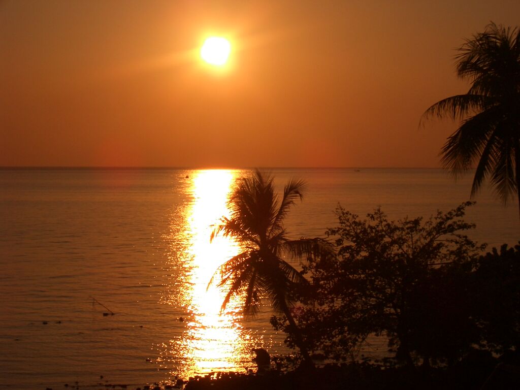 Click to See Next Image